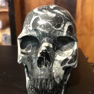 Shell skull